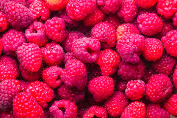 raspberries close up