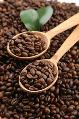 Coffee beans with leaves in wooden spoon
