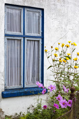 Blaues Fenster und Blumen im Vorgarten
