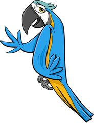 Naklejka premium macaw parrot cartoon illustration