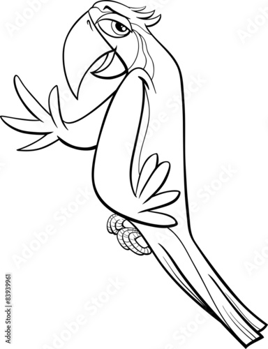 macaw parrot coloring page stock image and royalty free vector