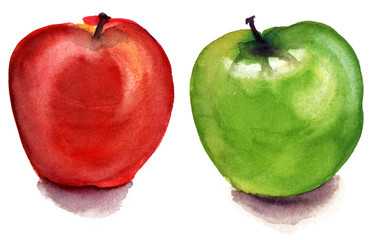 Two watercolour apples on white background (isolated)