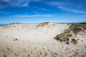 Moving dunes park near Baltic Sea in Leba, Poland