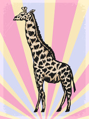 vintage background with giraffe