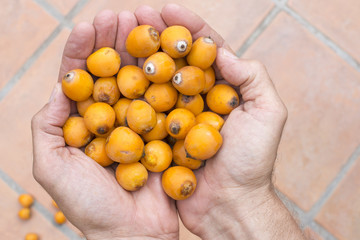 Handful of queen palm fruit