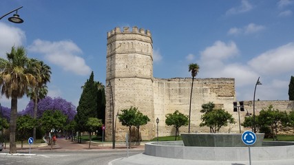 Alcázar de Jerez de la Frontera desde fuente - 83941771