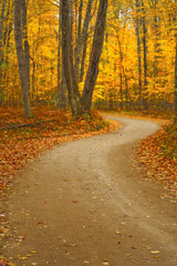 Fototapeta premium The Long Winding Road