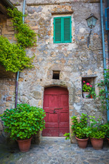 Tuscan door with plants in the Italian medieval village