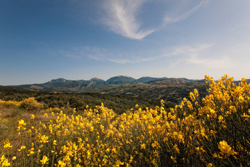 PARCO DEL POLLINO