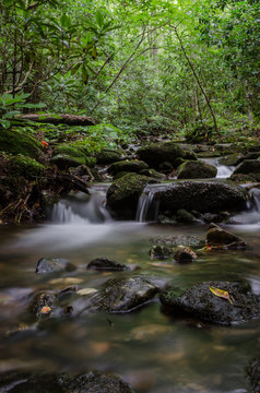 A Creek Near Blood Mountain In Georgia