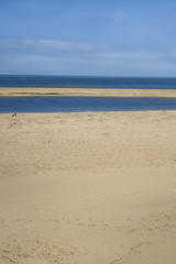 Beach on Chappaquiddick island in Massachusetts.