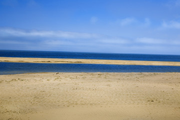 Beach on island of Chappaquiddick in Massachusetts.