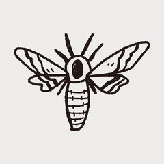 Moth doodle
