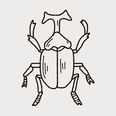 beetle doodle