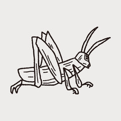 Fototapeta na wymiar grasshopper doodle