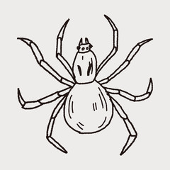 spider doodle