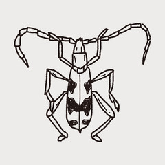insect doodle