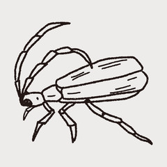 insect doodle