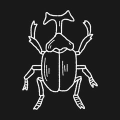 Fototapeta na wymiar beetle doodle
