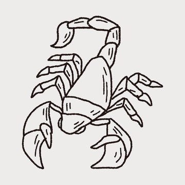 Scorpion doodle