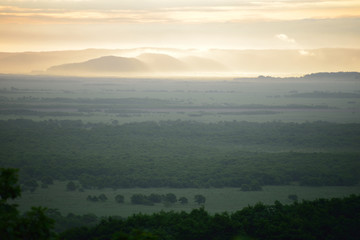 釧路湿原の夜明け