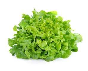Obraz na płótnie Canvas Green leaves lettuce isolated on white background