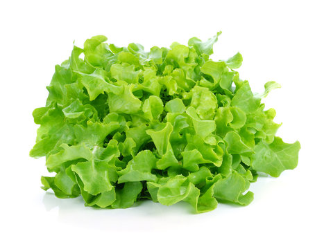Green leaves lettuce isolated on white background