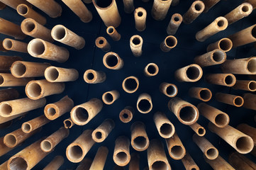 Cutting bamboo, cross section of bamboo