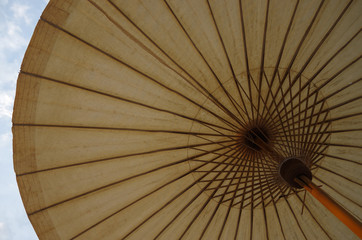 part of umbrella from a ant eye view