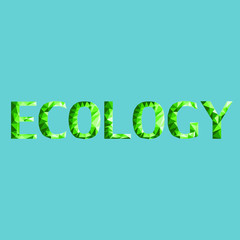 ecology character low poly