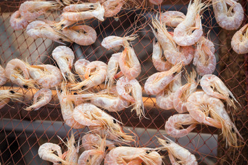 dried shrimp