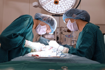 two veterinarian surgeons in operating room