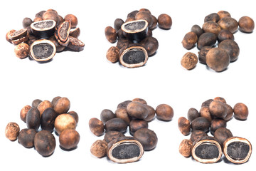 Mushroom - Barometer Earthstars 