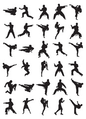 Martial Art Silhouettes