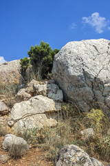  Rocks, which snap into the sea near Balaklava.