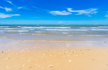 beautiful beach and tropical sea