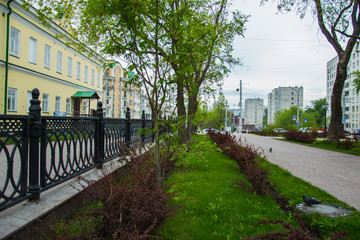 аллея в городском парке