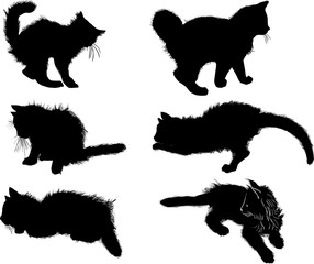 six small black kittens on white