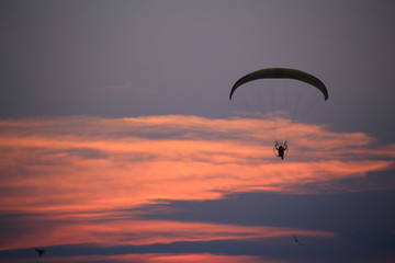 Paramotor and sunset