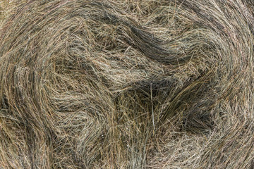 Backgrounf hay