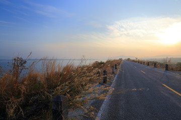 Road and grass