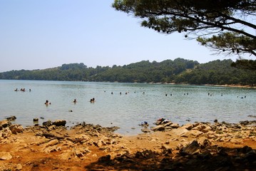 Paisaje de una playa rocosa
