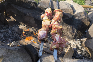 Roasted meat on bonfire
