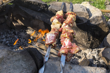 Roasted meat on bonfire
