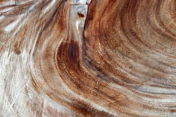 texture of wood