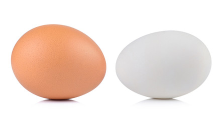 Fototapeta na wymiar egg on white background