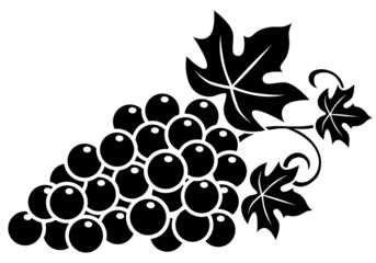 Weinrebe, Weintrauben, Icon, schwarz-weiß, Vektor, freigestellt