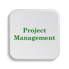 Project management icon