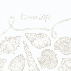 Vector background with hand-drawn sea shells and rope.