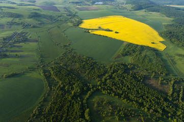 Aerial view on yellow fields
